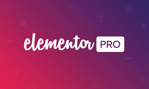 Elementor Pro插件3.23.3强大的可视化页面编辑器